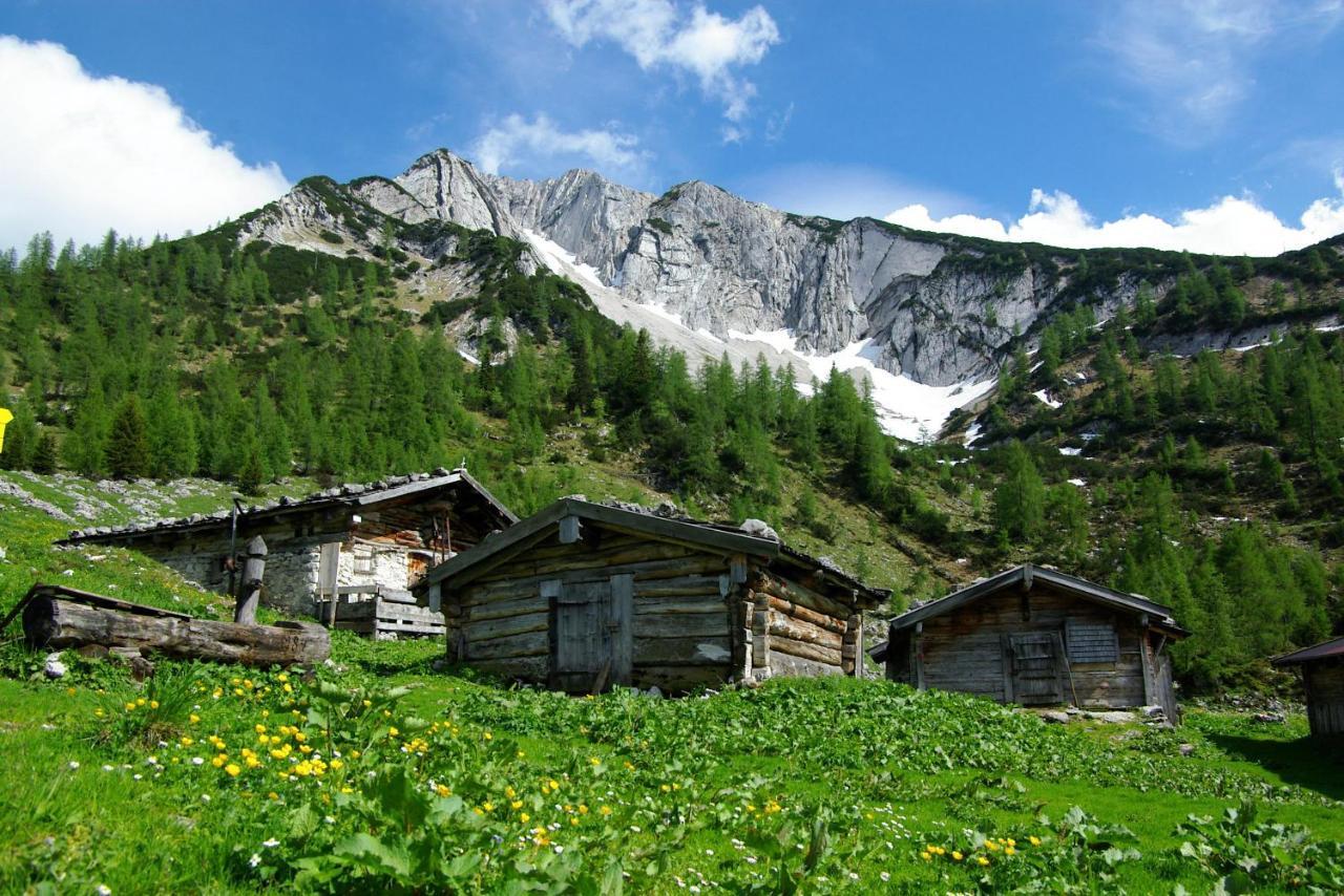 Haus Bauer Διαμέρισμα Pertisau Εξωτερικό φωτογραφία